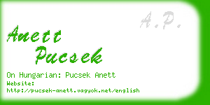 anett pucsek business card